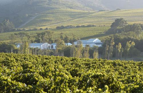 Agroturismo Vine Guesthouse