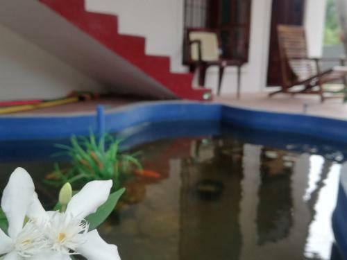 Hostal Golden Sunrise