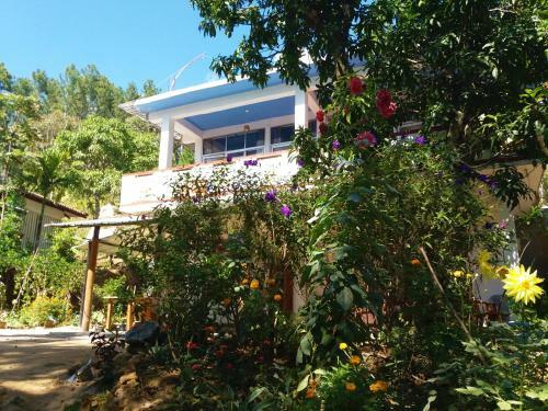 Forest Homestay