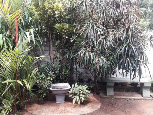 Hostal Diluna Guest House