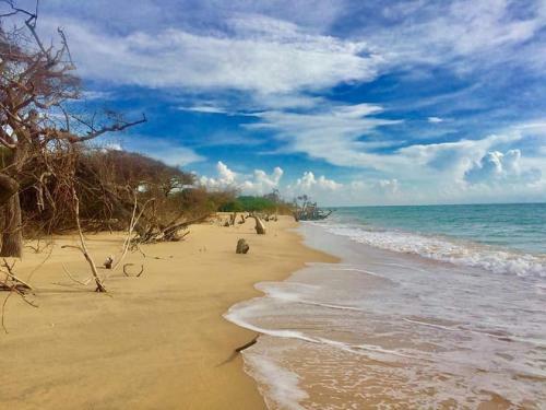 Bed & Breakfast Kitesurfing Kalpitiya