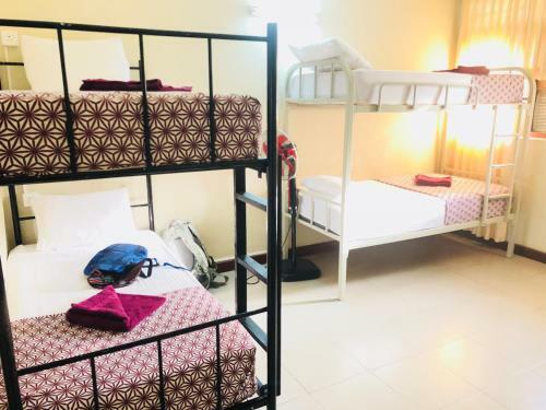 Cmb Trip N Chill Hostel