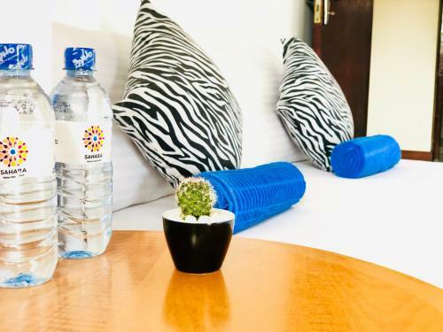 Trip "n" Chill Hostels Colombo Airport