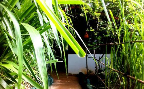 Lodge Fresco Nature Villa
