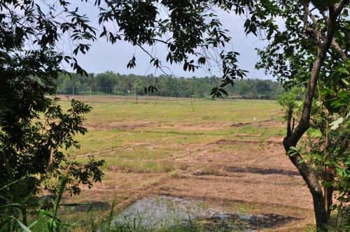 Bed & Breakfast Wish Prabha Lake View Lodge