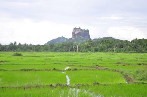 Rock Lake Home Stay