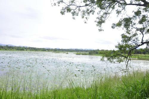 Rock Lake Home Stay