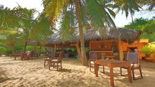 Hotel Mangrove Beach Cabana