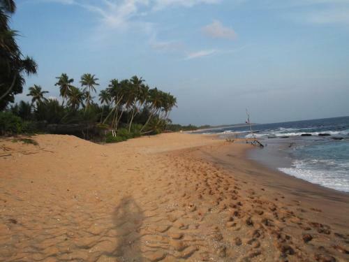 Star Sun Homestay