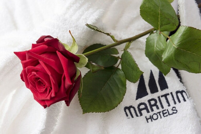 Maritim Hotel Wurzburg