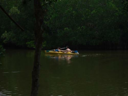 Water Rail Islet