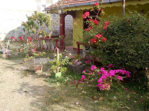 Saja Homestay