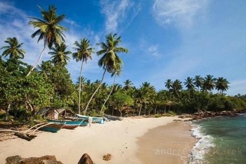 Hotel Villa Lucky Star