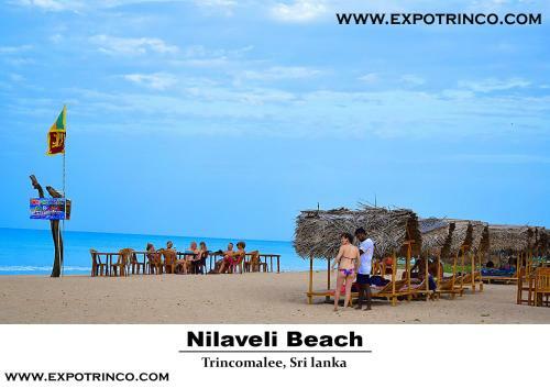 Hostal Day Dreamer Holiday Villa