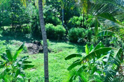 Hostal Infinity Nature Resort