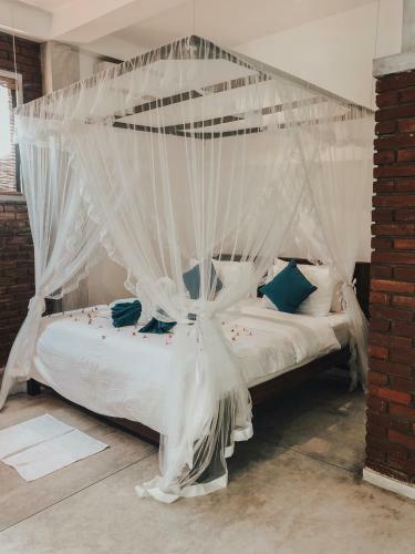 Hostal Dream Ocean