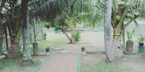 Avendra Holiday Home - Weligama