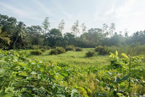 Hostal South House-weligama