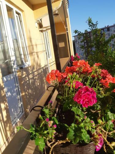 Hostal Greenwood