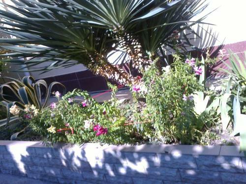 Hostal Guesthouse Yuzhny Veterok