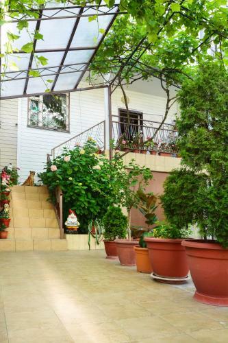 Hostal Guest House Zvezdochka