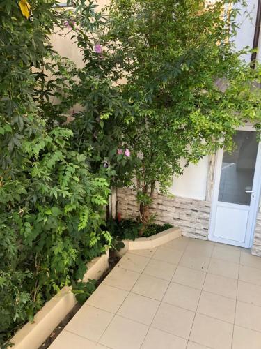 Hostal Chkalova 30