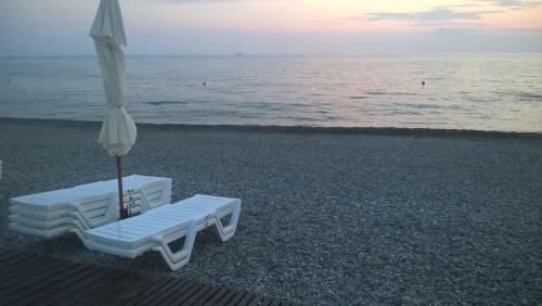 Hotel Arion
