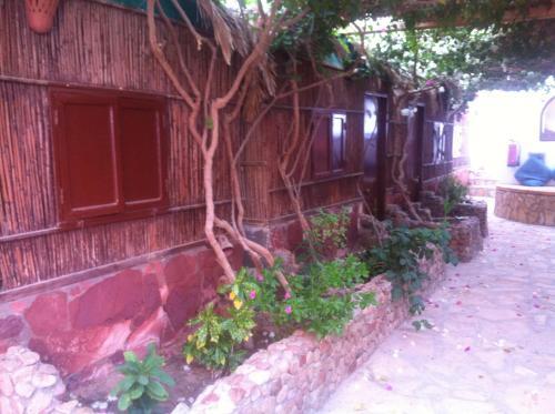 Hotel Amanda Dahab