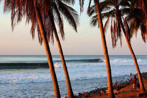 Puro Surf Hotel