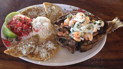 Pelicano Surf Lodge
