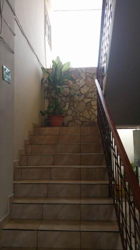 Hotel Plaza Floresta