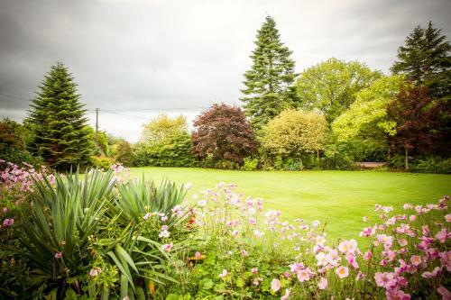 Carramore Lodge Bed And Breakfast