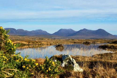Cottage 236 Roundstone