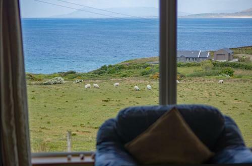 Cottage 259 - Renvyle
