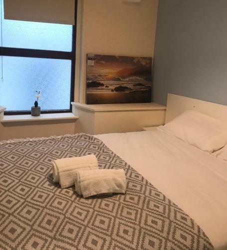 City Centre Snug Apartments