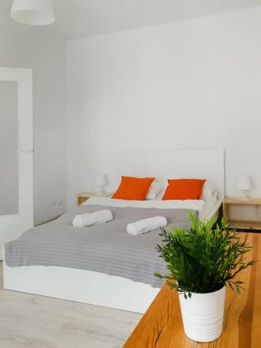 Sunny Apartment