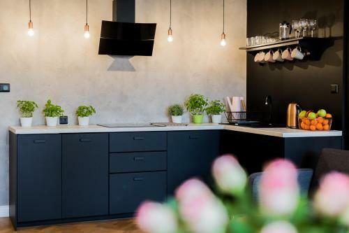 Apartamento Z?oty Jelonek