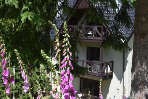 Apartamento Szafirowy Zak?tek