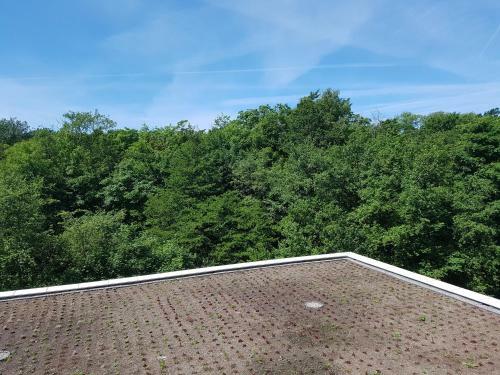 Apartament Prywatny 329 W Diune Resort