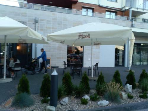 Apartament Morskie Polanki