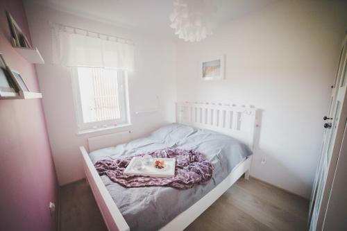 Feniks Apartamenty - Vacation Park Spa