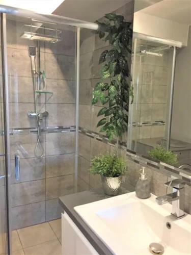 Apartamenty Zacisze