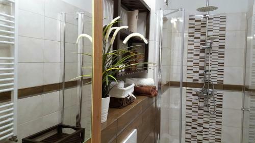 Apartament Przy Rynku