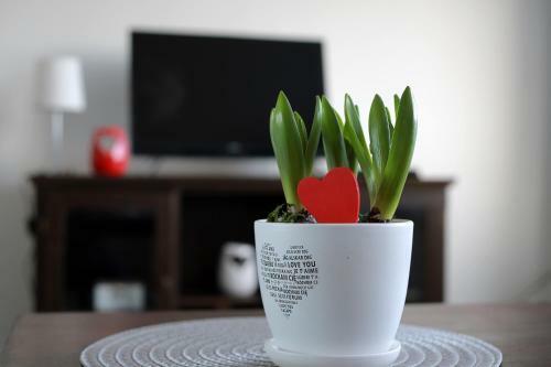 Apartamento Studio Dana 75b