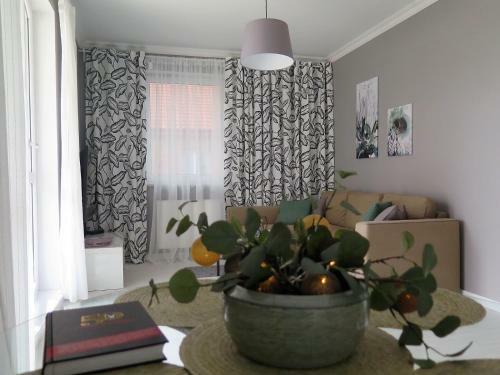 Apartament Na Winnicy