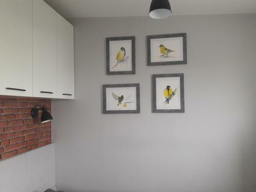 Apartament Orchidea Loft