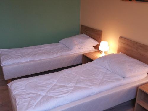 Albergue Kaktus Guest House 2