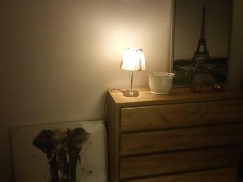 Albergue Kaktus Guest House 2