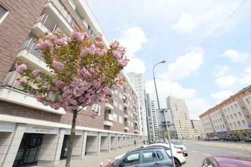 Elegant Apartment Arkadia