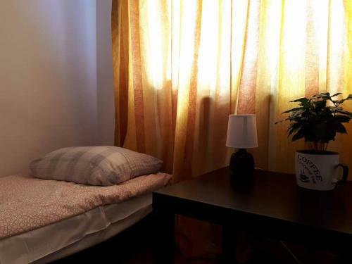 Hostel Kulczy?skiego